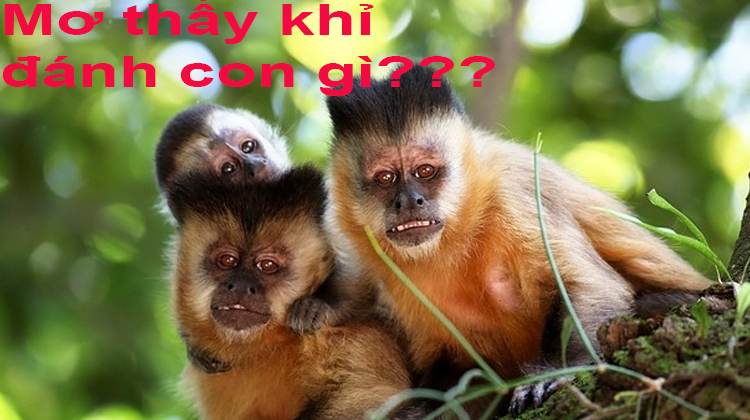 [ nằm mơ thấy con khỉ ] đánh con gì ? là số mấy ?