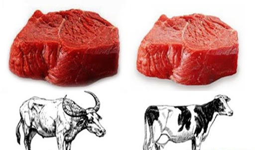 nằm mơ thấy thịt trâu là điềm báo gì? giải mã giấc mơ thấy trâu bò