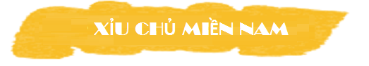 chuyên gia chốt xs xíu chủ miền nam